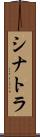 シナトラ Scroll