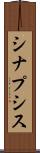 シナプシス Scroll