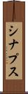 シナプス Scroll