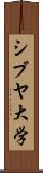 シブヤ大学 Scroll