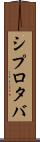 シプロタバ Scroll