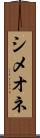 シメオネ Scroll