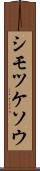 シモツケソウ Scroll