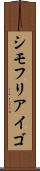 シモフリアイゴ Scroll