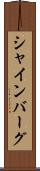 シャインバーグ Scroll