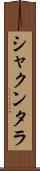 シャクンタラ Scroll