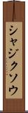シャジクソウ Scroll