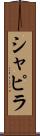 シャピラ Scroll