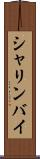 シャリンバイ Scroll