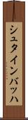 シュタインバッハ Scroll