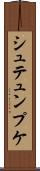 シュテュンプケ Scroll