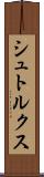 シュトルクス Scroll