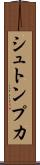 シュトンプカ Scroll