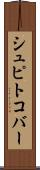 シュピトコバー Scroll