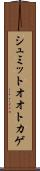 シュミットオオトカゲ Scroll