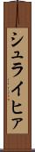 シュライヒァ Scroll