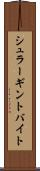 シュラーギントバイト Scroll