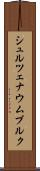 シュルツェナウムブルク Scroll