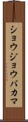 ショウジョウバカマ Scroll