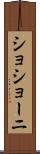 ショショーニ Scroll