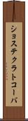 ショステクラトコーバ Scroll