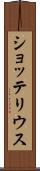 ショッテリウス Scroll