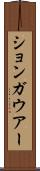 ションガウアー Scroll