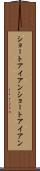 ショートアイアン Scroll