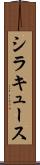 シラキュース Scroll