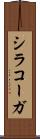 シラコーガ Scroll