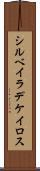 シルベイラデケイロス Scroll