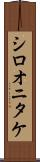 シロオニタケ Scroll
