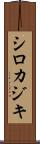 シロカジキ Scroll