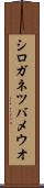 シロガネツバメウオ Scroll