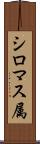 シロマス属 Scroll