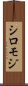 シロモジ Scroll