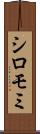 シロモミ Scroll