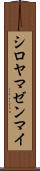 シロヤマゼンマイ Scroll
