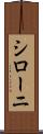 シローニ Scroll