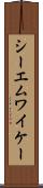 シーエムワイケー Scroll