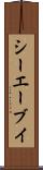 シーエーブイ Scroll