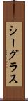 シーグラス Scroll
