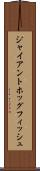 ジャイアントホッグフィッシュ Scroll