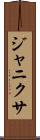 Janixa Scroll