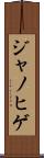 ジャノヒゲ Scroll