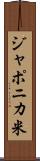 ジャポニカ米 Scroll