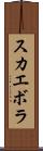 スカエボラ Scroll