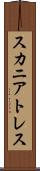 スカニアトレス Scroll