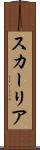 スカーリア Scroll