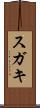 スガキ Scroll